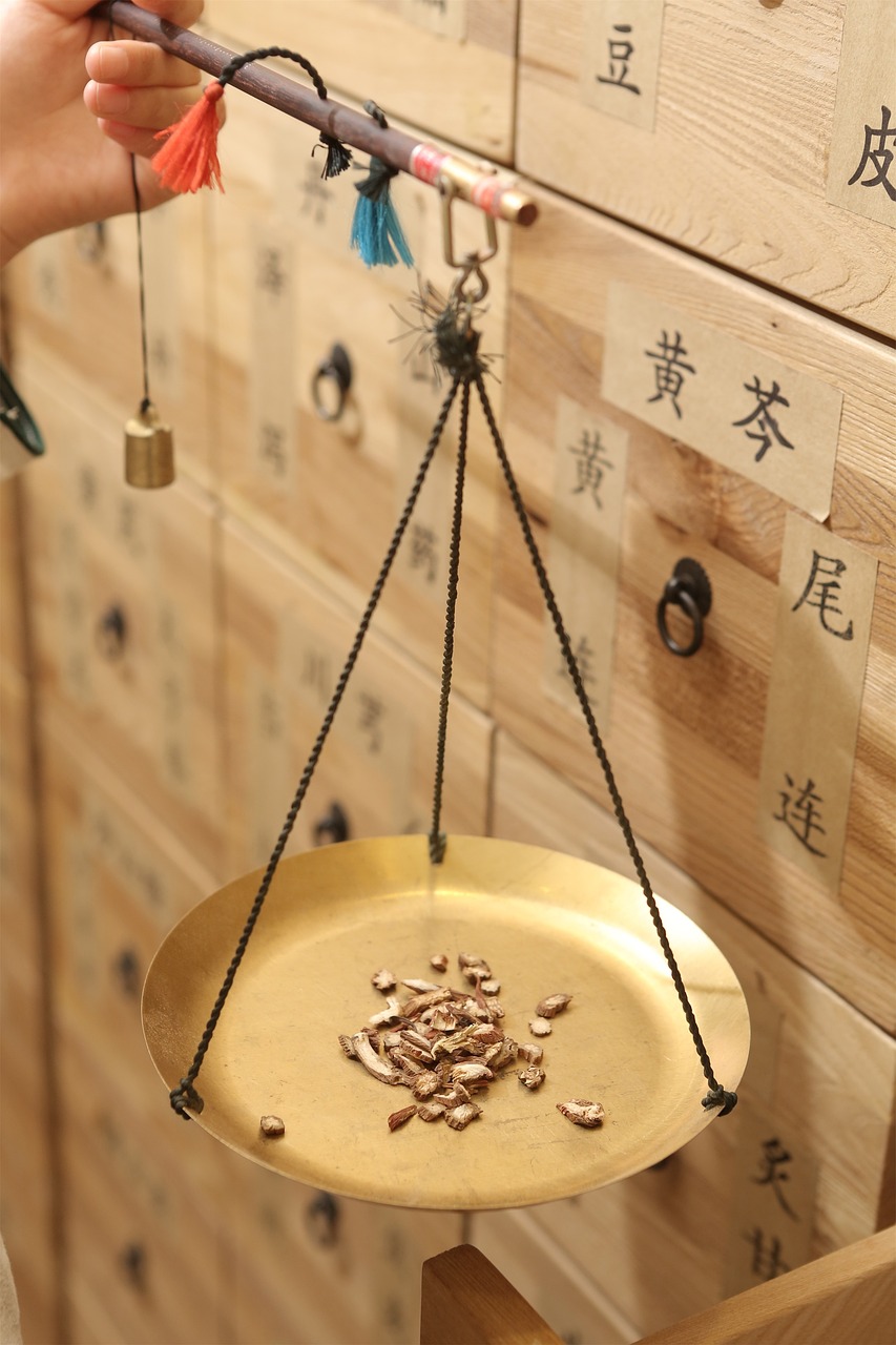 养生专栏视频大全，中医养生智慧的现代传承